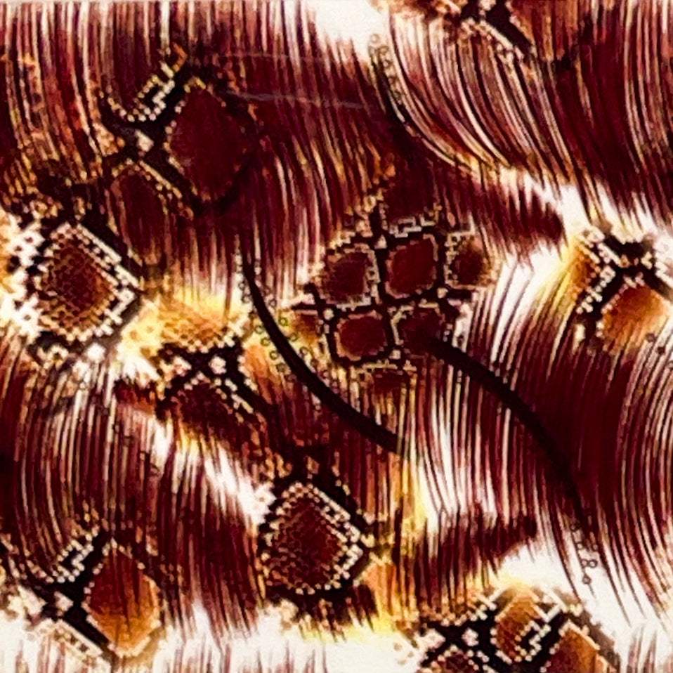 “59-04 Moos & Hisses" - - Nail Transfer Foil