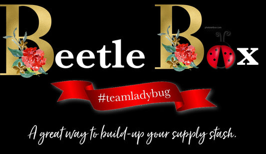 Beetle Box Subscription