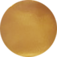 PF Gold Stamping Polish