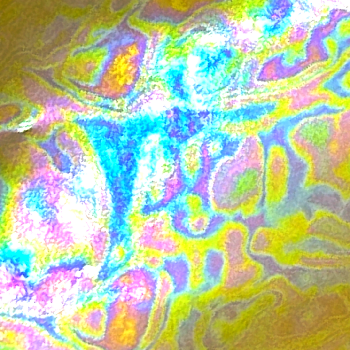 Pre-Filled Clear Holographic Foil Binder