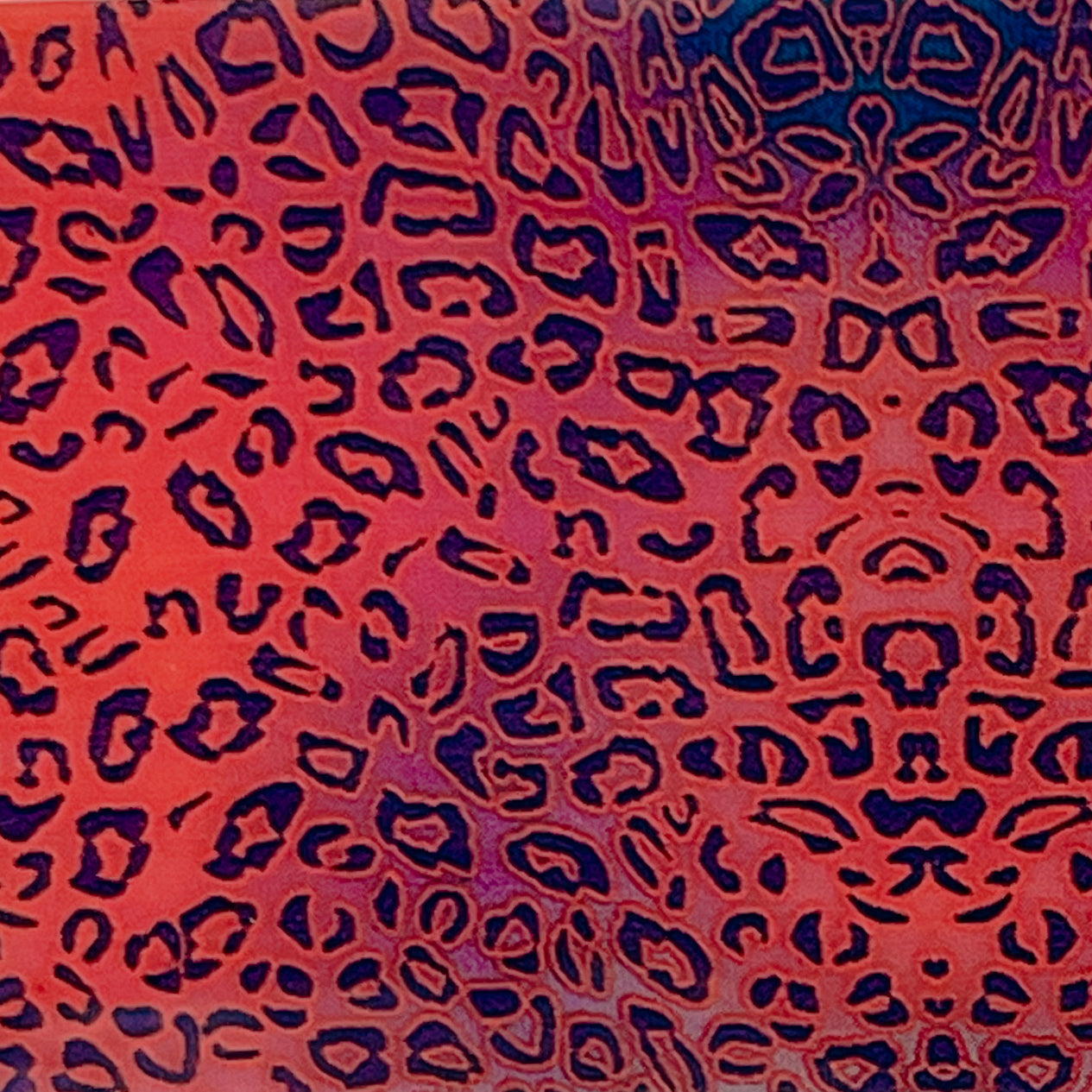 “50-04 Feisty Feline" - - Nail Transfer Foil