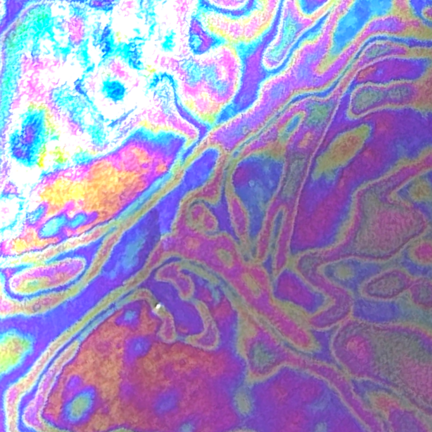 Pre-Filled Clear Holographic Foil Binder