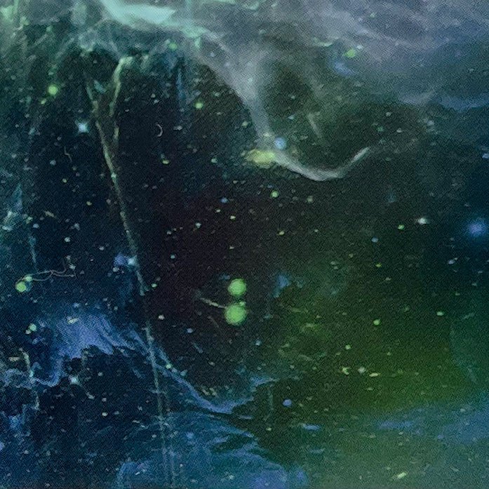 "17-06 Fantastic Voyage" -- Nail Transfer Foil