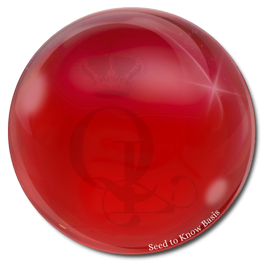 Seed to Know Basis - Fruits of Fancy HEMA-Free Gel